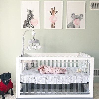 babyletto acrylic crib