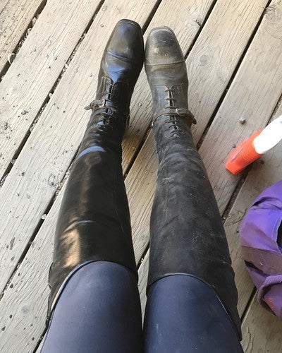 ariat challenge contour field boot cognac