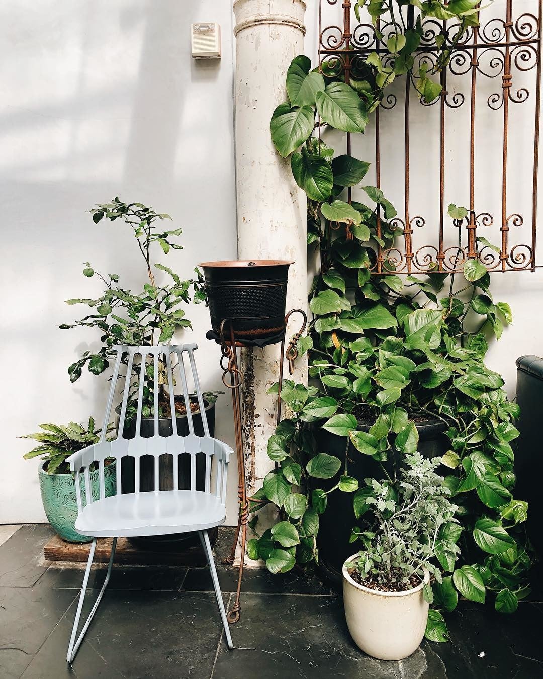 Herb & Wood San Diego a MICHELIN Guide Restaurant