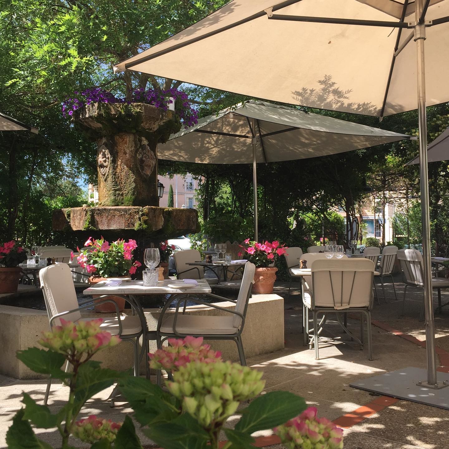 Restaurant L Isle Sur La Sorgue Guide Du Routard