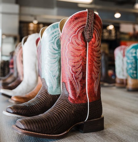 ariat circuit shiloh