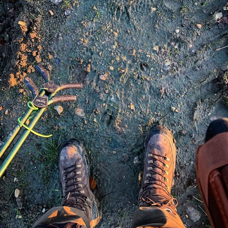 ariat catalyst defiant