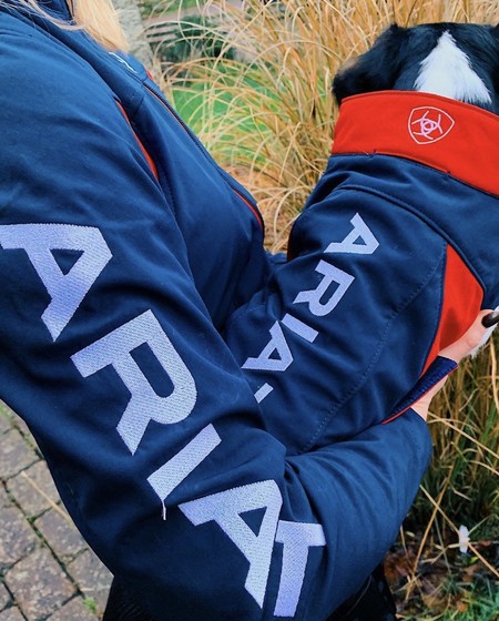 Team Softshell Dog Jacket | Ariat