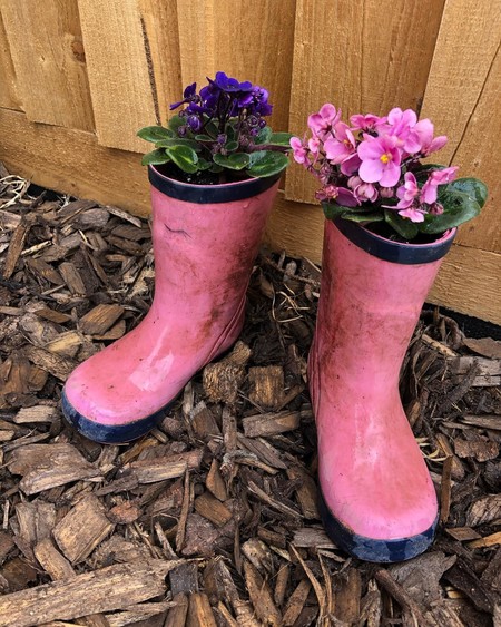 bebe girls light up boots