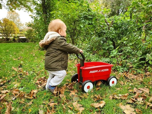 radio flyer my first 2 in 1 wagon