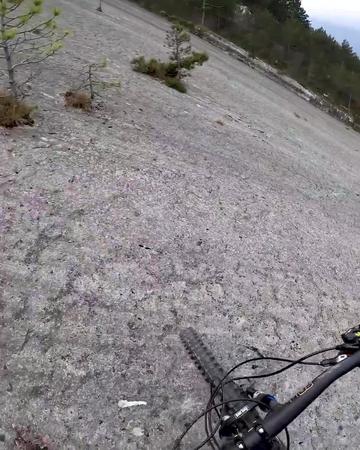 Red Bull Norway Red Bull Norway