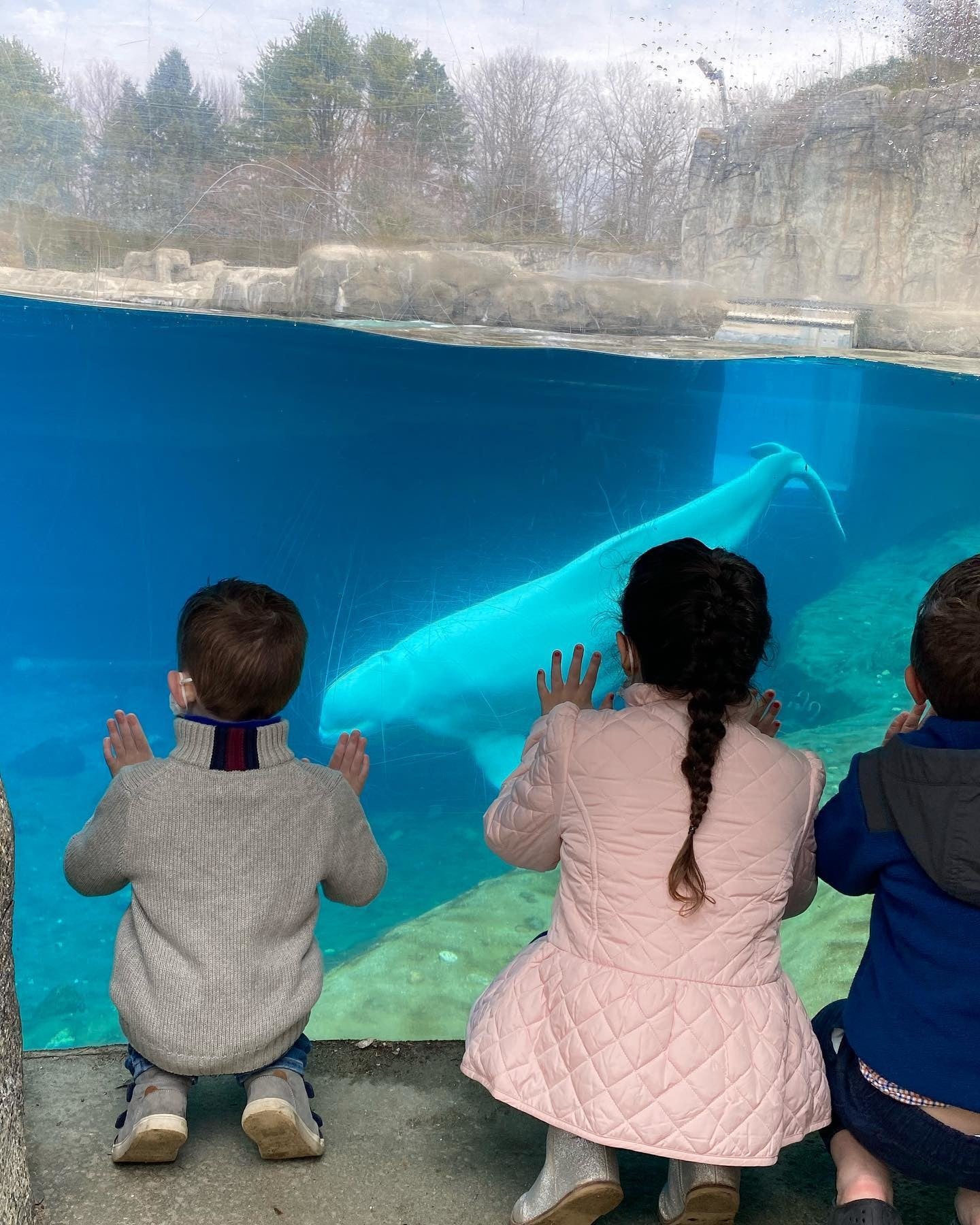 Make a Splash at Hilton Mystic