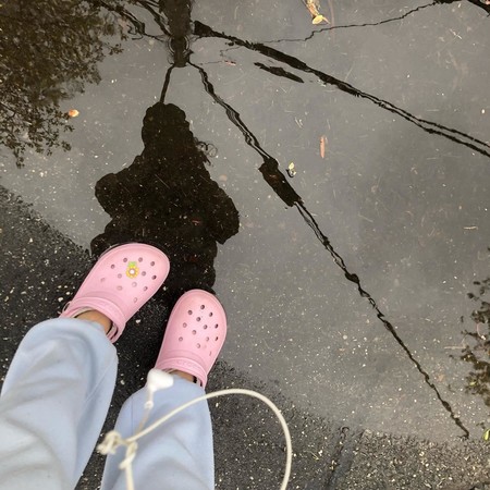 sunflower croc charms