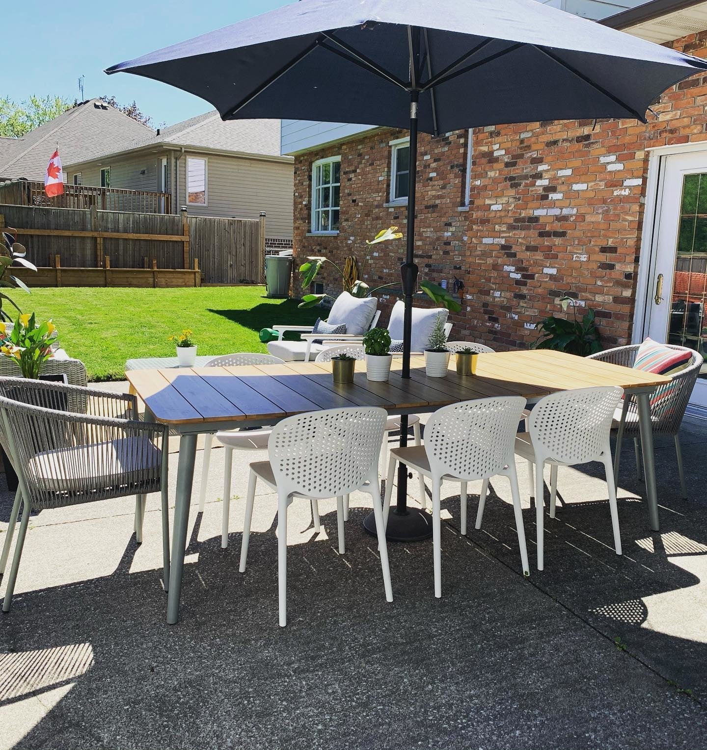 Umbrella article Clearance