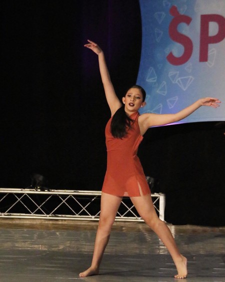 Balera Womens Mesh Cowl Neck Short Halter Dress for Dance