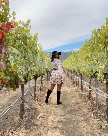 Grape Stomp at Grgich Hills | Napa Valley Wine Train