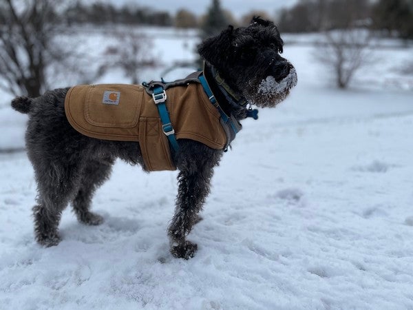 Relaxed Straight Rugged Flex® Duck Double Knee Pants - Work