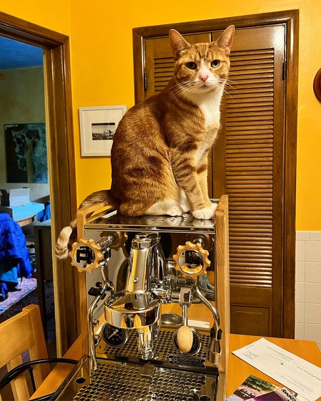 Rocket Espresso Mozzafiato Timer Type V Italian Espresso Machine