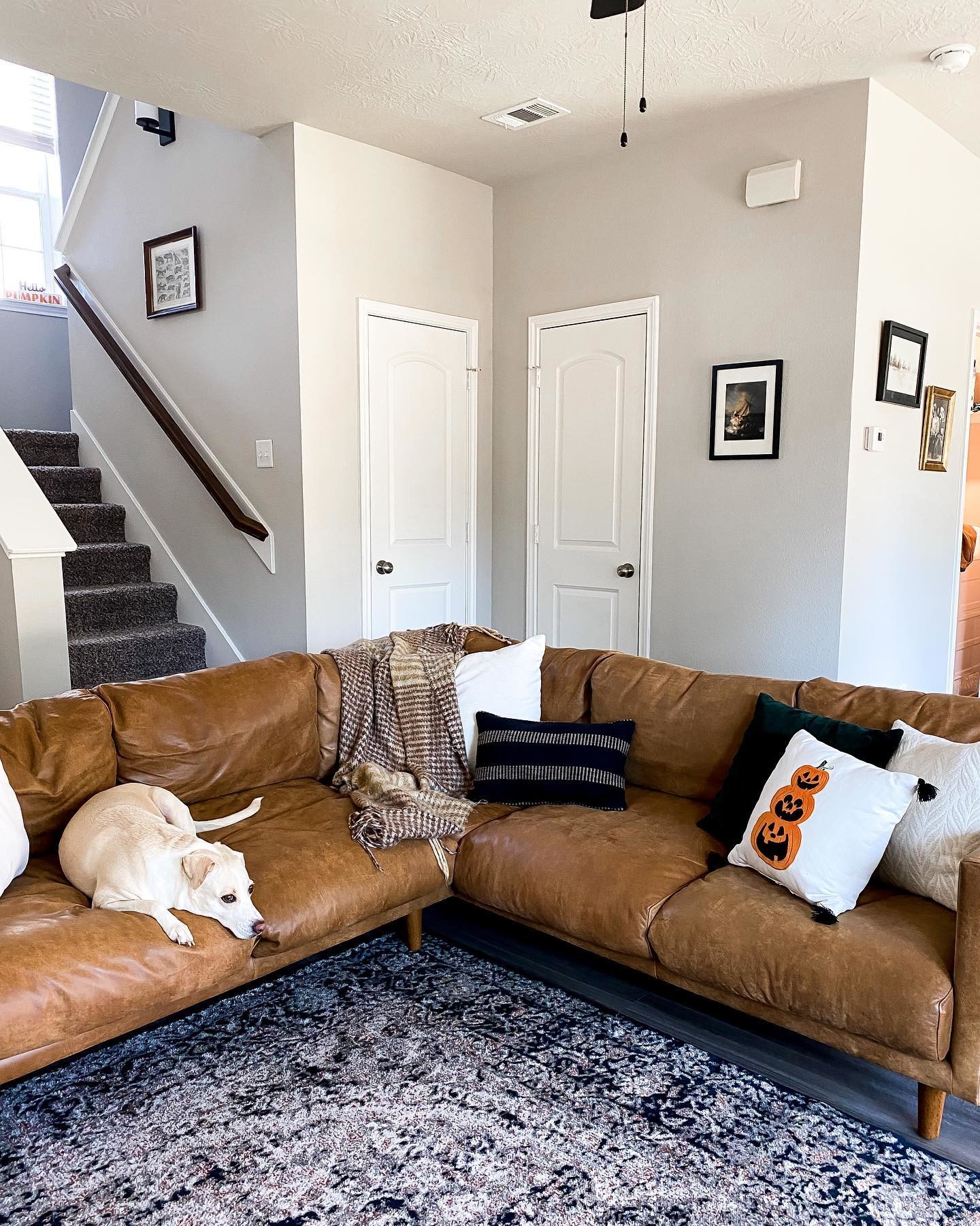 Nirvana Indiana Brown Corner Leather Industrial Sectional Sofa