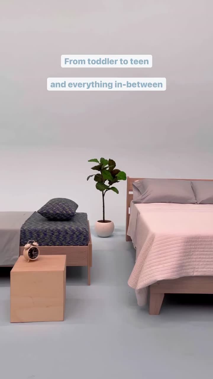 Ashley Sleep Essentials Twin Mattress and Pillow