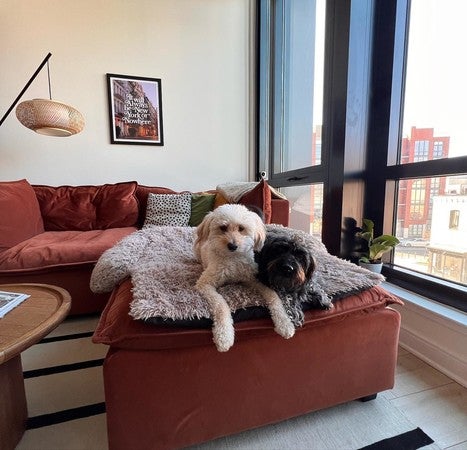 Kova Sofa 84" + Ottoman