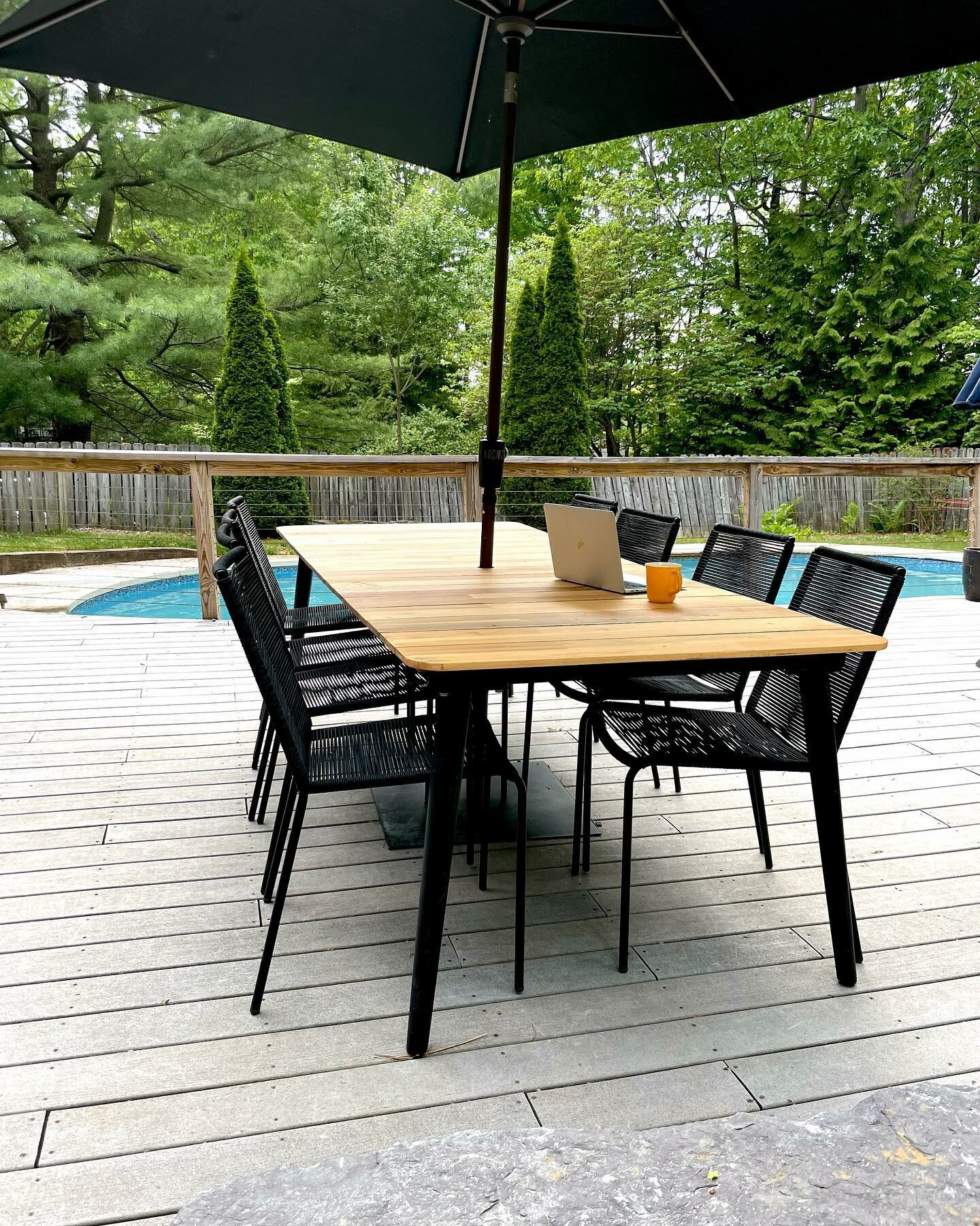 Steel Framed Ember Black Woven Rope Dining Chair | Zina | Article