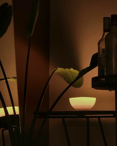 image by inciyuyucu containing light, table, plant, bottle, room