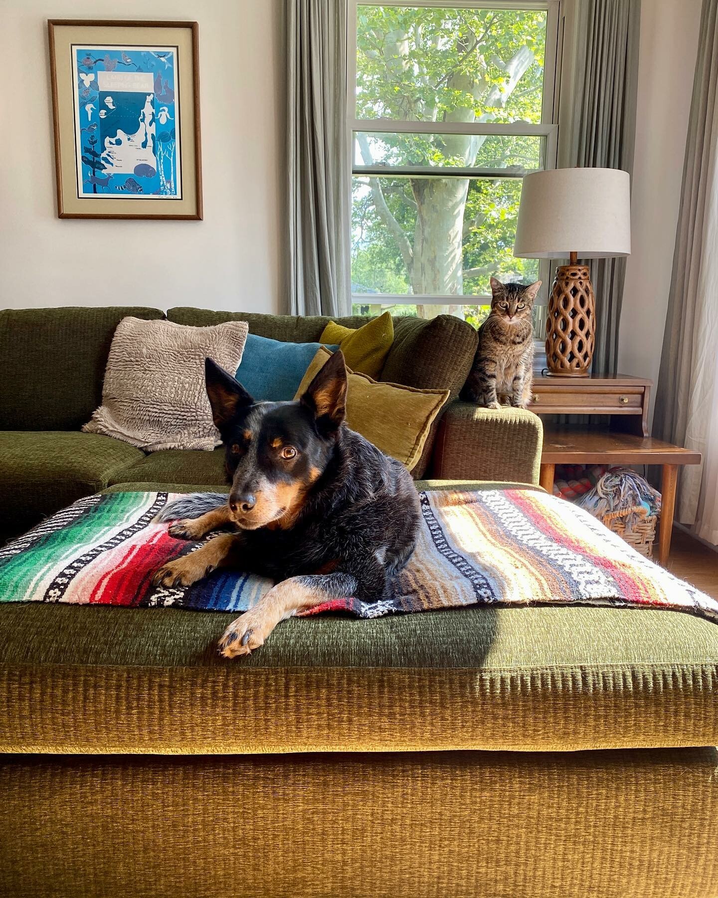 Beta Cypress Green Square Fabric Ottoman | Article