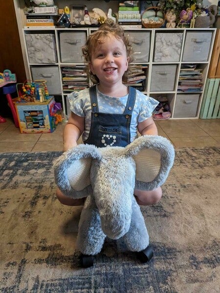 Ellie the Rolling Elephant | Radio Flyer