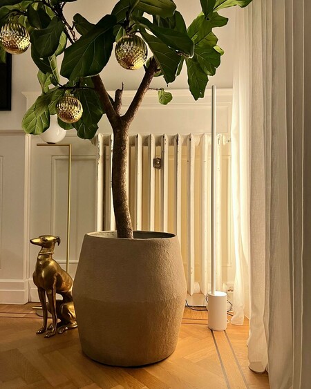 image by gooisemannen containing tree, plant, sculpture, vase, room