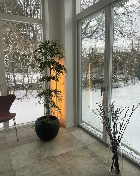image by vores_villa_funkis containing window, tree, chair, plant, vase