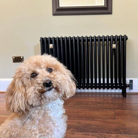 DQ Modus, Column Horizontal Programmable Electric Radiator