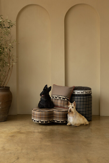 DÉLICAT SILK FAN EDGE - CREAM - Samuel and Sons 