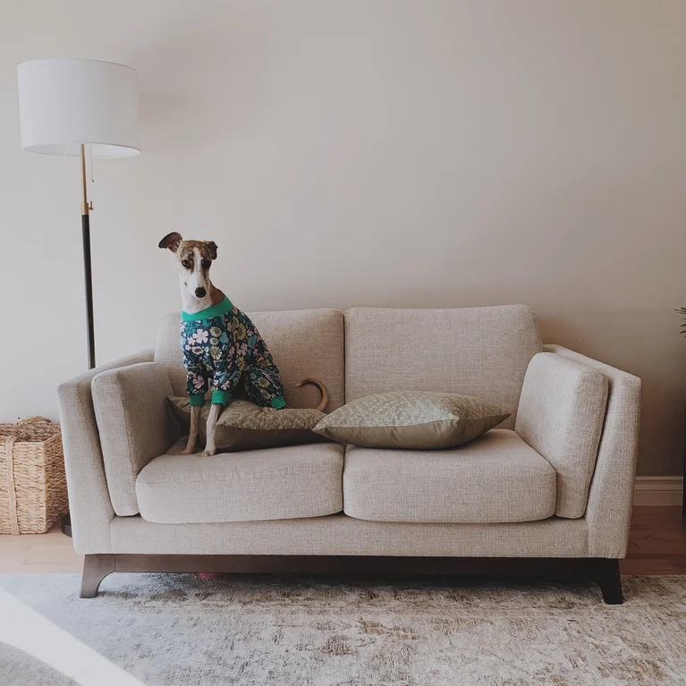 Ceni Light Gray Fabric Two-Seater Loveseat Sofa, 61