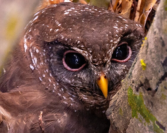 Buy M.Zuiko Digital ED 90mm F3.5 Macro IS PRO From OM SYSTEM Canada