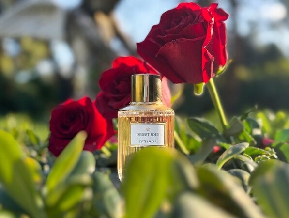 DESERT EDEN ESTÉE LAUDER デザート エデン100ml デザート エデン オーデ パフューム スプレィ | エスティ