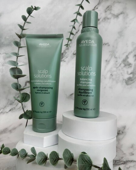 Aveda Scalp Solutions コンディショナー 1L Aveda Scalp Solutions コンディショナー 1L - メルカリ