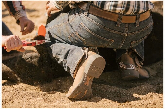 Ariat メンズ シエラワイドスクエアトウ ワークブーツ, 熟成樹皮
