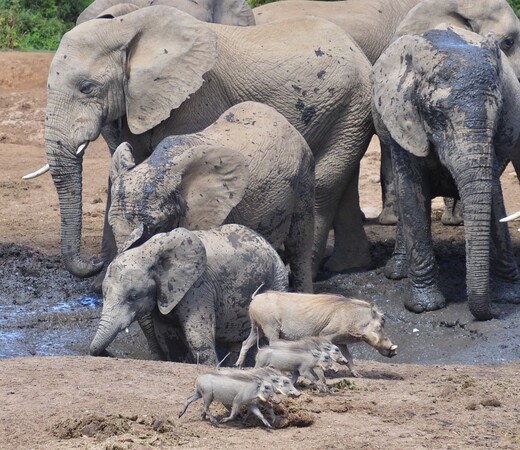 Buy M.Zuiko Digital ED 12-200mm F3.5-6.3 OM From OM SYSTEM Canada