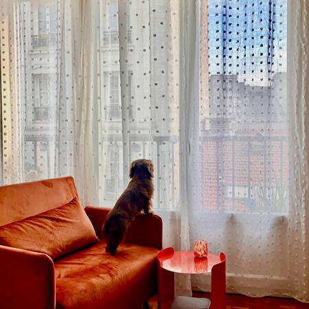 Belushi - Fauteuil convertible en velours