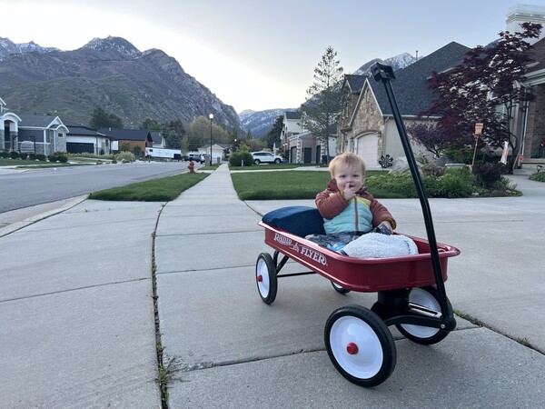 ✳骨董 ✳希少 Rittreck View 4×5 フード付き wist 【公式通販】