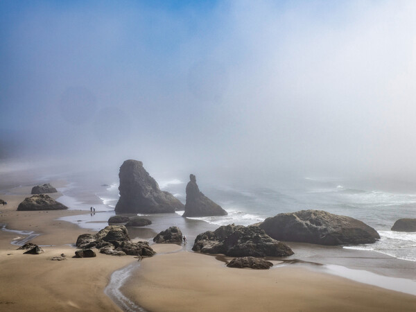 Buy M.Zuiko Digital ED 12-200mm F3.5-6.3 OM From OM SYSTEM Canada