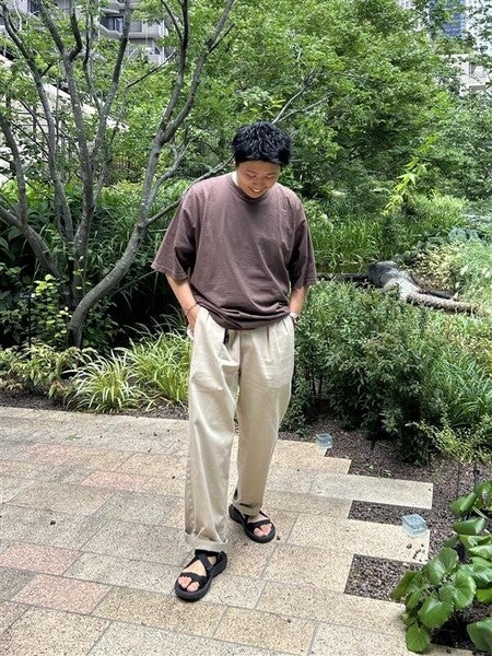 テバ公式【 ハリケーン テラ ダクトル|HURRICANE TERRA DACTYL