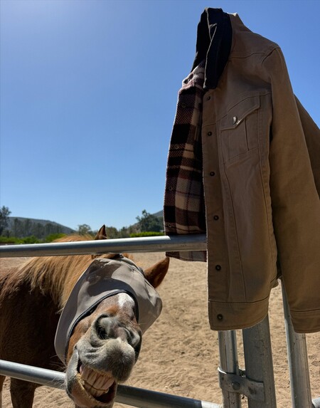 Shyanne Women's Reversible Twill Jacket | Boot Barn