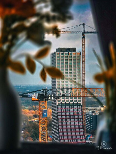 image by anonymous containing building, vase, flower, window, city