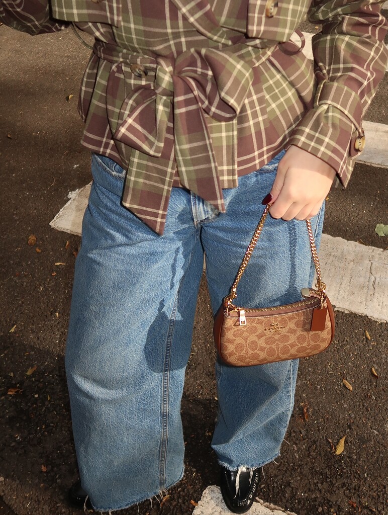 COACH® Outlet | Teri Mini Crossbody Bag In Signature Canvas