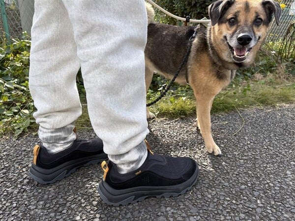 テバ公式【 ハリケーン デイブレイカー スリッポン|HURRICANE