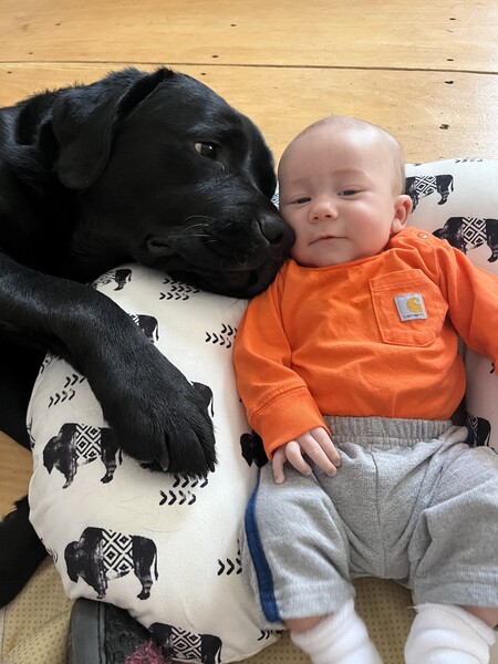 Cotton Canvas Baseball Cap | Men's Summer Essentials | Carhartt