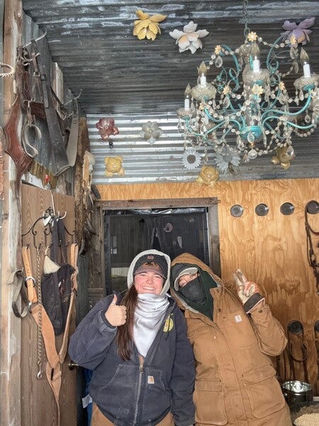 Men's Washed Duck Rugged Sherpa-Lined Vest | TLL | Carhartt