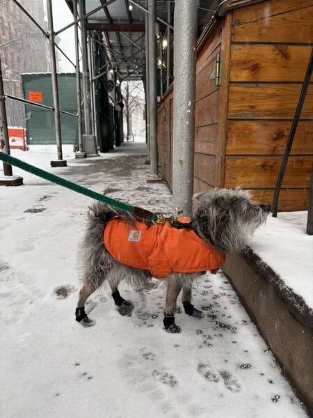 Montana Rugged Flex® Relaxed Fit Duck Insulated Jacket - 2 Warmer