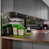 image by Signify containing kitchen, modern, plant, exhaust hood, kitchen island
