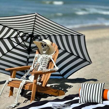 image by At Home containing beach, umbrella, sit, skeleton, beach chair